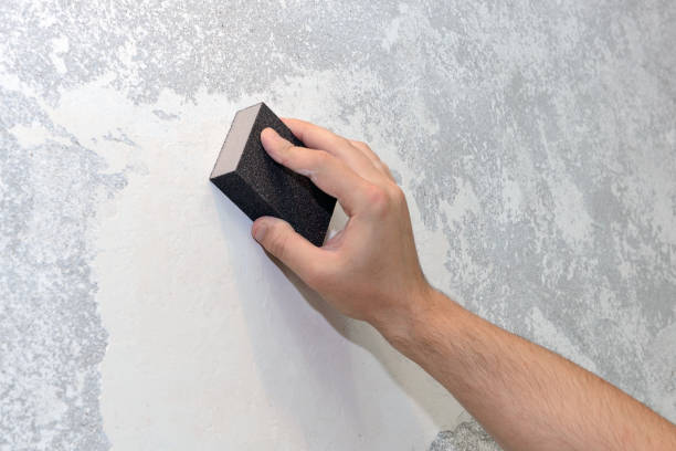 Best Environmental Consulting for Mold Prevention  in Ramsey, NJ