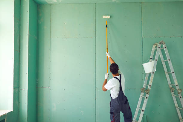Best Comprehensive Air Testing for Mold Contaminants  in Ramsey, NJ