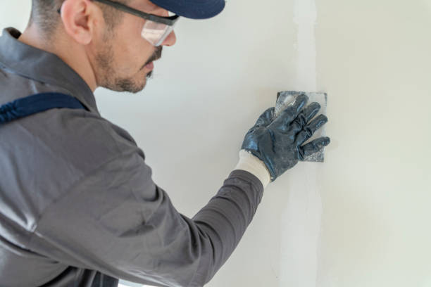 Best Crawl Space Mold Remediation  in Ramsey, NJ