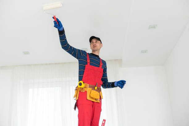 Best Mold Documentation for Insurance Claims  in Ramsey, NJ