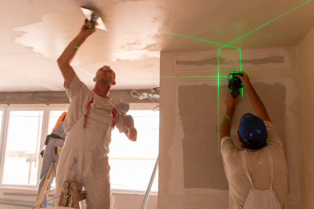  Ramsey, NJ Mold Removal Pros