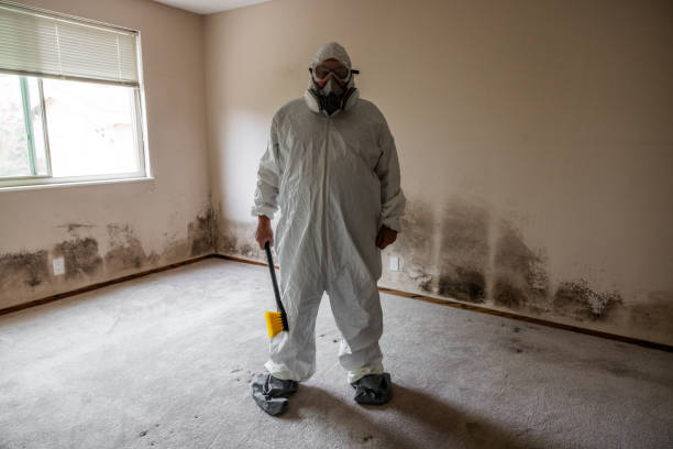 Best Air Quality Testing for Mold Spores  in Ramsey, NJ
