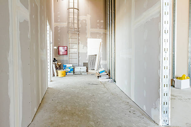 Best Commercial Mold Inspection  in Ramsey, NJ
