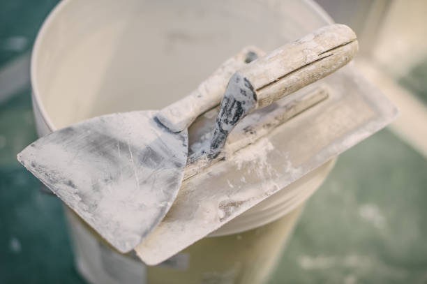 Best Mold-Related Health Consultation  in Ramsey, NJ