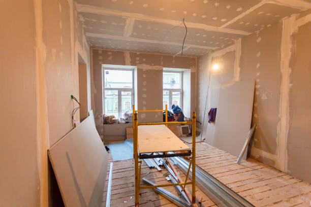 Best Basement Mold Removal  in Ramsey, NJ